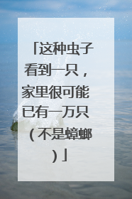 这种虫子看到一只，家里很可能已有一万只（不是蟑螂）